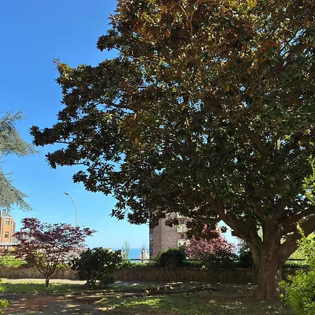 Residencia Universitaria Alto De Miranda - Resisantander