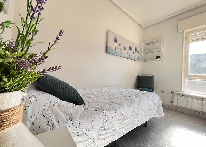 Residencia Universitaria Alto De Miranda - Resisantander Affittacamere Santander